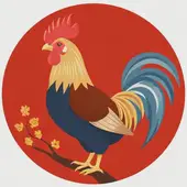 属鸡的年龄表十二生肖是什么：属鸡的十二生肖配对表