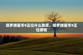 塔罗牌星币9正位什么意思，塔罗牌星币9正位感情
