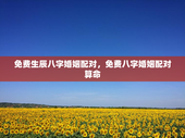 免费生辰八字婚姻配对，免费八字婚姻配对算命