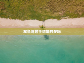 双鱼与射手结婚的多吗