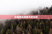 天蝎男会真爱天秤女吗