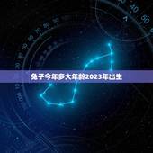 兔子今年多大年龄2023年出生(兔子年龄计算方法详解)