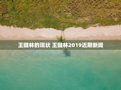 王健林的现状 王健林2019近期新闻