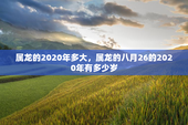 属龙的2020年多大，属龙的八月26的2020年有多少岁