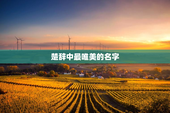 楚辞中最唯美的名字