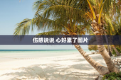 伤感说说 心好累了图片