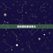 权杖四代表什么样的人(介绍权力、稳定与成就的象征)