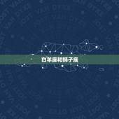 白羊星座适合哪个星座(星座配对大介绍)