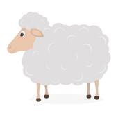 白羊女故意装傻是为什么(探究是真的傻还是有意为之)