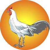 1981年属鸡今年运势(财运亨通事业有成)