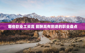 哪些职业工资高 薪酬高有前途的职业盘点