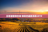 王菲谢霆锋合体 锋菲恋最新消息2019