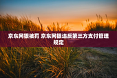 京东网银被罚 京东网银违反第三方支付管理规定