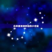 十二星座专属宠物仓鼠(星座宠物你选哪一个)