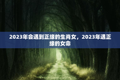 2023年会遇到正缘的生肖女，2023年遇正缘的女命