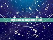 属牛运势2023年运势每月运势(详解2023年牛座每月运势)