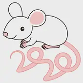 十二生肖性格弱点全解析：自查避坑指南