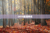 2019最潮网名