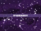 属马和什么属相最配对(马上介绍配对)