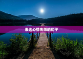 表达心情失落的句子