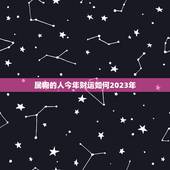 属狗的人今年财运如何2023年(财富旺盛财源滚滚来)