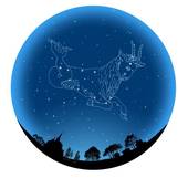 摩羯座2月运势2023(事业稳步上升财运亦佳)