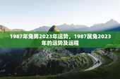 1987年兔男2023年运势，1987属兔2023年的运势及运程