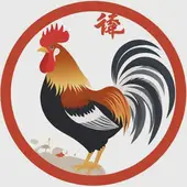 宋韶光2025年属鸡运势解析：2025年属鸡人的全年运势