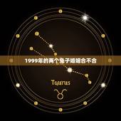 1999年的两个兔子婚姻合不合(讨论生肖婚配的)