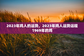 2023年鸡人的运势，2023年鸡人运势运程1969年的鸡