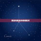 属鼠和属龙相配吗婚姻(如何避免婚姻危机)