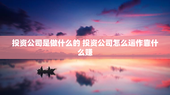 投资公司是做什么的 投资公司怎么运作靠什么赚