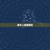 属牛的在什么年结婚好(如何选择婚期)