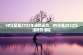 99年属兔2023年感情运势，99年兔2023年运势及运程