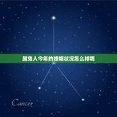 属兔人今年的婚姻状况怎么样呢(2023年属兔人的爱情运势)