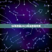 96年的鼠2023年运势如何男(财运亨通事业有成感情顺利)