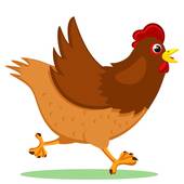 属鸡的今日运势财运排名(财运亨通好运连连)