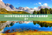 2020年不会涨养老金吗 明年养老金调整多少？