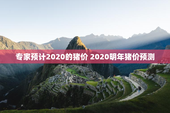 专家预计2020的猪价 2020明年猪价预测