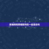 属相狗和狗相配吗在一起适合吗(如何看待同属一相的恋爱关系)