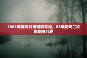 1981年属鸡的婚姻和命运，81年属鸡二次婚姻在几岁