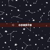 十二星座cp排行榜(哪对最配)