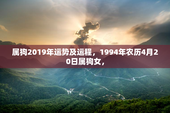 属狗2019年运势及运程，1994年农历4月20日属狗女，
