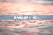 委内瑞拉现状2018照片