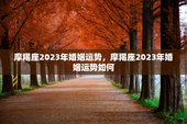 摩羯座2023年婚姻运势，摩羯座2023年婚姻运势如何