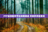 PPP监测服务平台如期建成 并提供项目查询