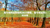 兔今年的运势如何2023感情，兔今年运势2020年