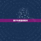 猴子跟什么属相配(介绍十二生肖中配对)