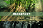 双鱼玉佩事件解密了