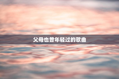 父母也曾年轻过的歌曲